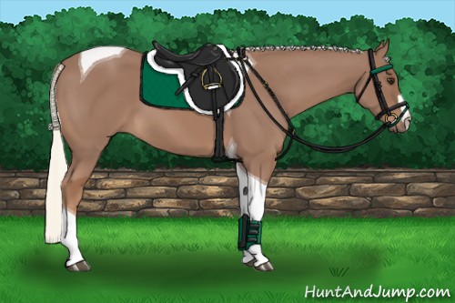 Horse Color:Chestnut Mushroom Tobiano 