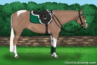 Horse Color:Chestnut Mushroom Tobiano 