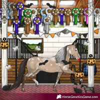 Horse Color:White Spotted Liver Red Dun Sabino 
