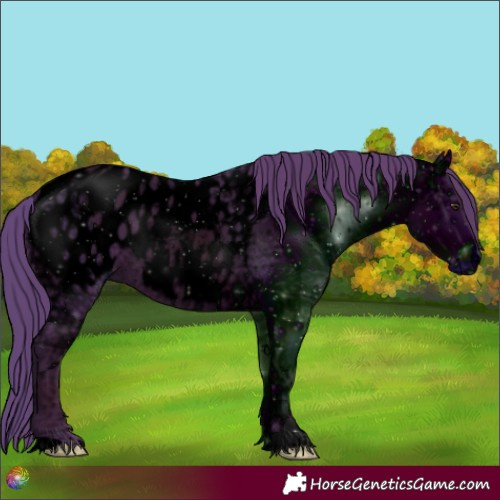 Horse Color:ERROR: UNKNOWN ANOMALY