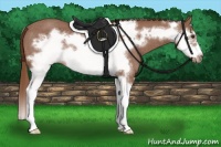 Horse Color:Chestnut Splash Frame Rabicano 