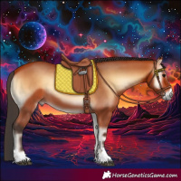 Horse Color:Bay Onyx 