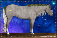 Horse Color:White Spotted Silver Smoky Blue Roan 
