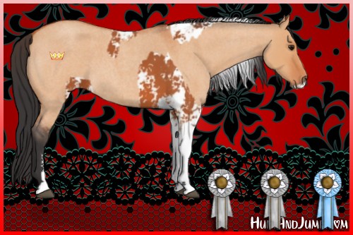 Horse Color:Bay Sabino  and Bay Roan Dun Sabino 