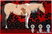 Horse Color:Bay Sabino  and Bay Roan Dun Sabino 