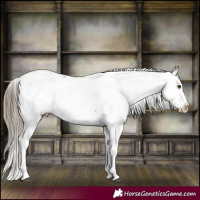 Horse Color:Liver Chestnut Sabino