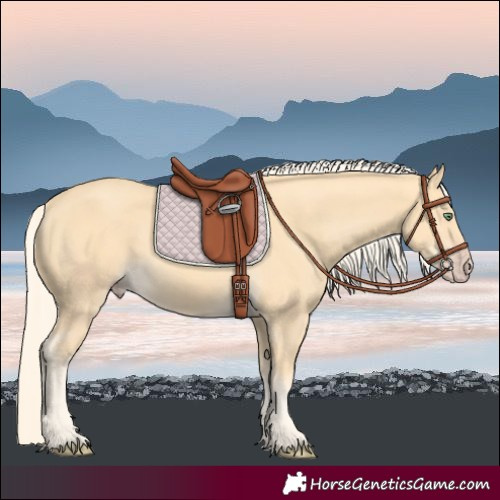 Horse Color:Gold Cream Champagne 
