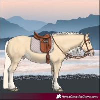 Horse Color:Gold Cream Champagne