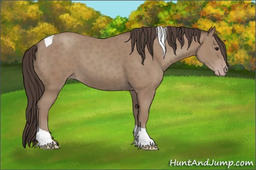 Horse Color:Classic Champagne Tobiano 