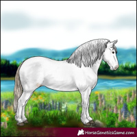 Horse Color:Smoky Black Varnish Rabicano 