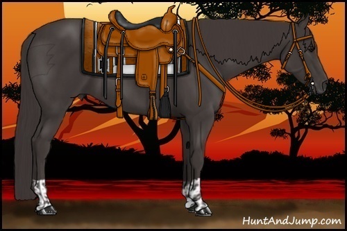 Horse Color:Smoky Black  and Smoky Black 