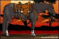 Horse Color:Smoky Black  and Smoky Black 