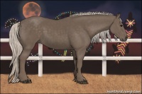 Horse Color:Silver Black 