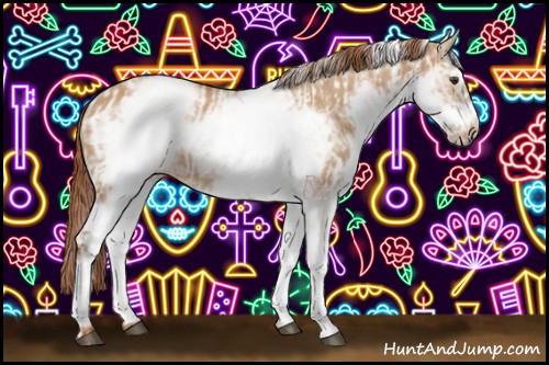 Horse Color:White Spotted Red Dun Rabicano and White Spotted Red Dun Frame Rabicano