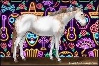 Horse Color:White Spotted Red Dun Rabicano and White Spotted Red Dun Frame Rabicano