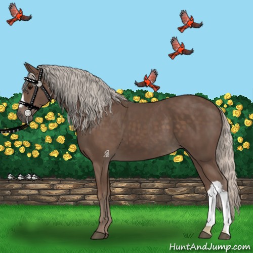 Horse Color:Silver Black 