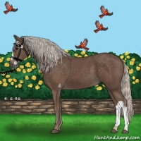 Horse Color:Silver Black 