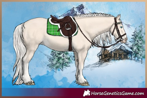Horse Color:Cremello 