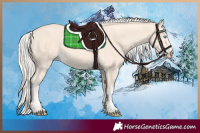 Horse Color:Cremello