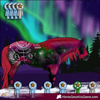 Horse Color:ERROR: UNKNOWN ANOMALY