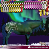 Horse Color:ERROR: UNKNOWN ANOMALY