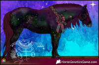 Horse Color:ERROR: UNKNOWN ANOMALY