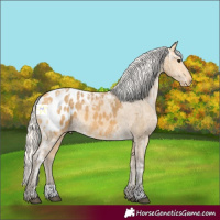 Horse Color:Silver Buckskin Ice Blanket 