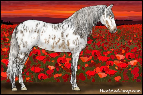 Horse Color:Gray Silver Buckskin Dun Near Leopard  and Gray Silver Buckskin Dun Mushroom Blanket Rabicano Brindle 
