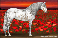 Horse Color:Gray Silver Buckskin Dun Appaloosa  and Gray Silver Buckskin Dun Mushroom Appaloosa Rabicano Brindle 
