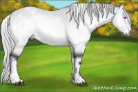 Horse Color:White Spotted Silver Bay Chinchilla Onyx