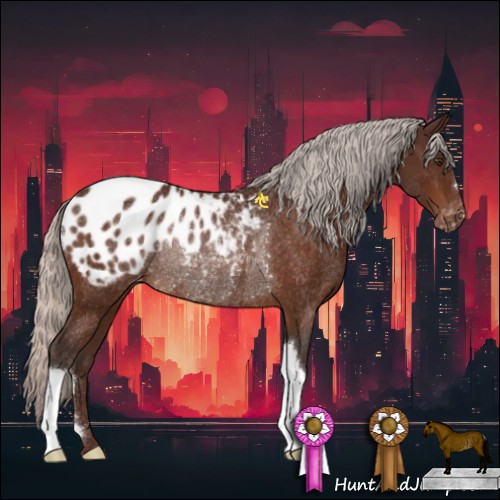 Horse Color:Silver Brown Appaloosa Rabicano