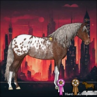 Horse Color:Silver Brown Appaloosa Rabicano 