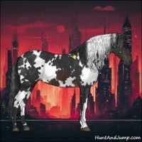 Horse Color:White Spotted Brown 