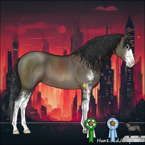 Horse Color:Brown Dun Sabino