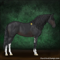 Horse Color:Brown Sabino 