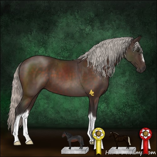 Horse Color:Silver Brown 