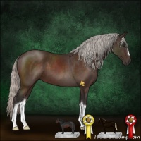 Horse Color:Silver Brown 