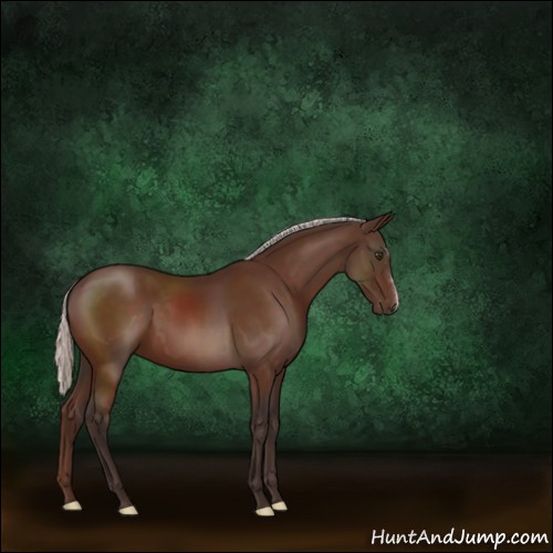 Horse Color:Silver Brown 