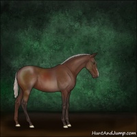 Horse Color:Silver Brown 