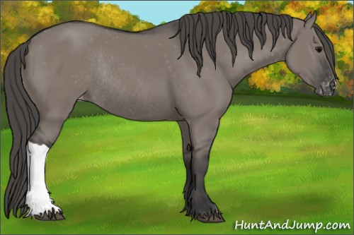 Horse Color:Grullo Varnish Rabicano