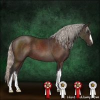 Horse Color:Silver Brown 