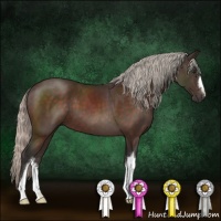 Horse Color:Silver Brown 