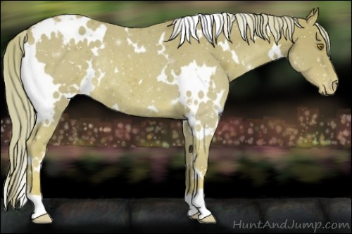 Horse Color:Watercolor White Spotted Palomino Appaloosa Rabicano 