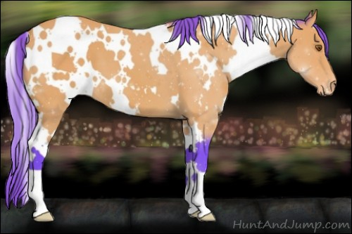 Horse Color:Watercolor White Spotted Buckskin Varnish 