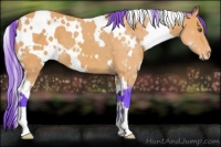 Horse Color:Watercolor White Spotted Buckskin Varnish 