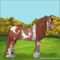 Horse Color:Watercolor White Spotted Liver Chestnut Varnish Rabicano 