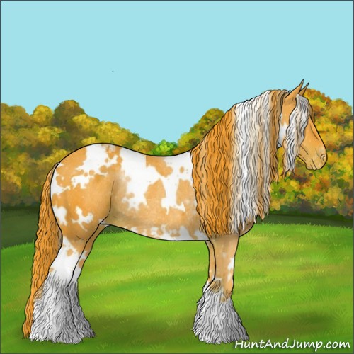 Horse Color:Watercolor White Spotted Liver Chestnut Appaloosa Rabicano 