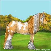 Horse Color:Watercolor White Spotted Liver Chestnut Varnish Rabicano 