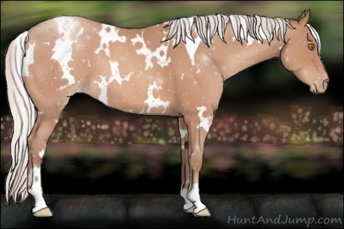 Horse Color:White Spotted Silver Amber Champagne Varnish 