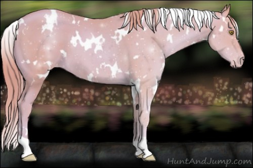 Horse Color:Watercolor White Spotted Gold Champagne Varnish 